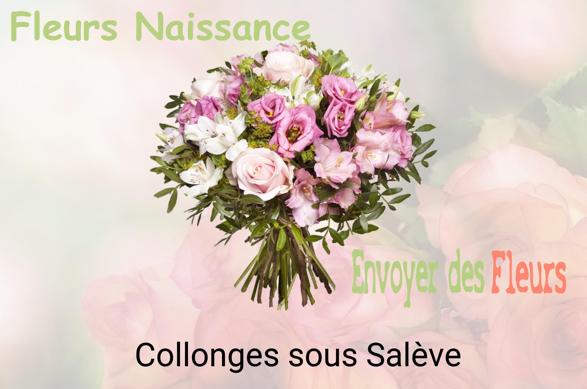 Bouquet de fleurs de naissance livré à Collonges-sous-Salève