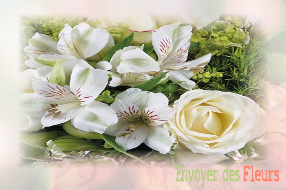 envoyer des fleurs à à COLLONGES-SOUS-SALEVE